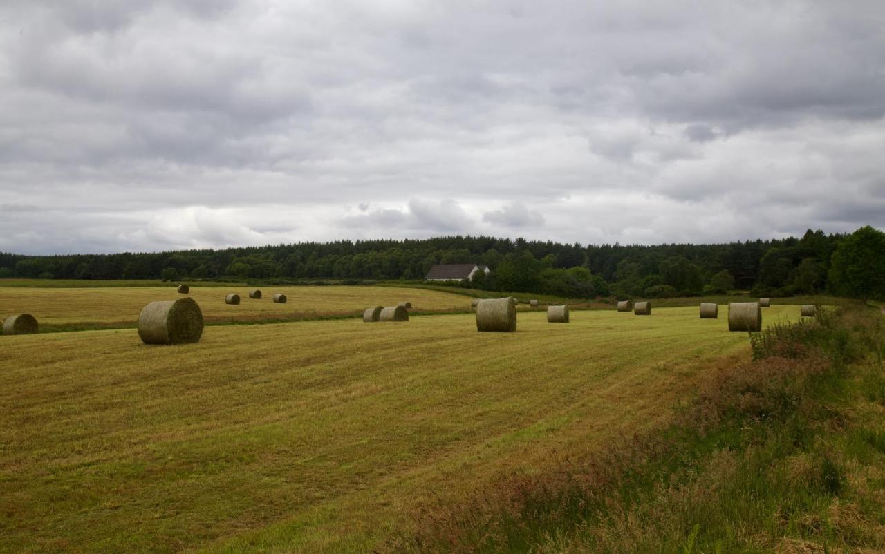 Clashmore Wood Дорнох Екстер'єр фото